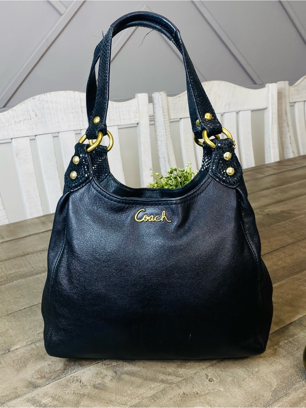 COACH Ashley Black Leather Hobo Bag F21926 Snakeskin Python Trim Shoulder Purse